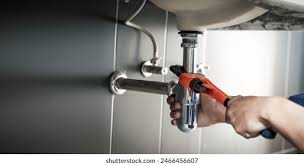 Best Green Plumbing Solutions and Water Conservation  in Plandome, NY